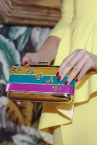 Clutch Mariposas Plateadas y Terciopelo Colores