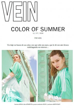 Revista Vein